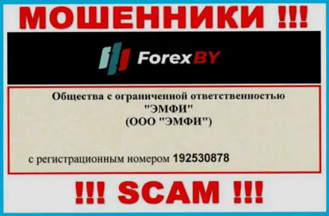 На web-сервисе мошенников ForexBY Com расположен именно этот рег. номер указанной компании: 192530878