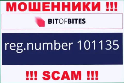 Номер регистрации организации Bit Of Bites, который они оставили на своем сайте: 101135