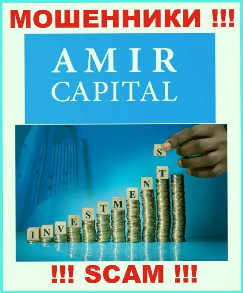Не вводите финансовые средства в АмирКапитал, род деятельности которых - Инвестиции