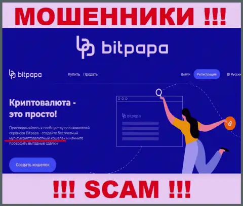 Направление деятельности противоправно действующей организации BitPapa Com - это Крипто кошелек