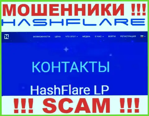 Сведения о юридическом лице internet мошенников HashFlare Io
