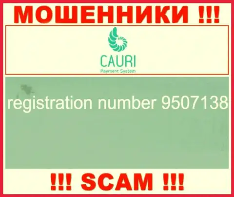Регистрационный номер, принадлежащий преступно действующей конторе Каури ЛТД - 9507138
