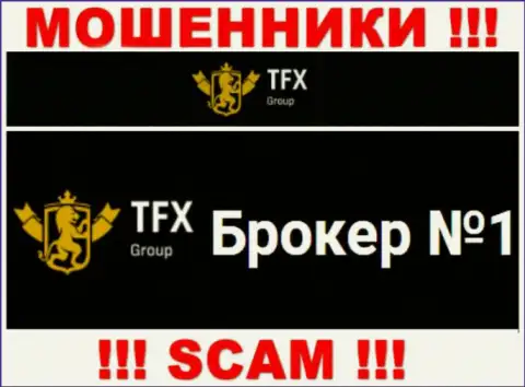 Не доверяйте финансовые активы TFX Group, ведь их сфера деятельности, ФОРЕКС, развод