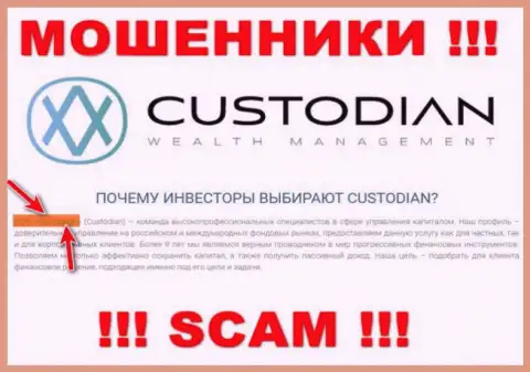 Юридическим лицом, владеющим интернет мошенниками Custodian, является ООО Кастодиан