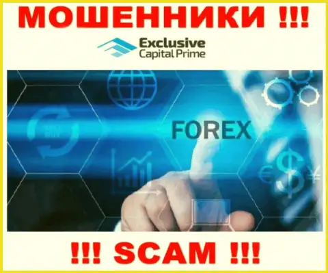 ФОРЕКС - это направление деятельности мошеннической компании ExclusiveCapital