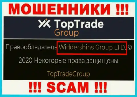 Сведения о юр. лице Top TradeGroup у них на официальном сайте имеются - это Widdershins Group LTD