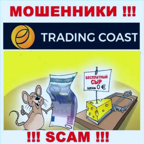 В компании Trading-Coast Com запудривают мозги лохам и заманивают к себе в мошеннический проект