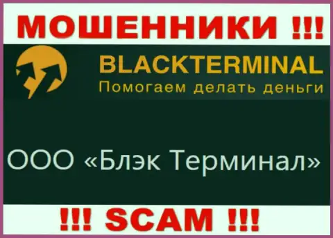 На официальном ресурсе BlackTerminal сообщается, что юридическое лицо конторы - ООО Блэк Терминал