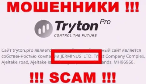 Инфа о юридическом лице ТритонПро - это компания Jerminus LTD