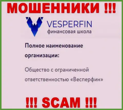 Информация про юридическое лицо интернет воров ВесперФин - ООО Весперфин, не сохранит Вас от их грязных лап