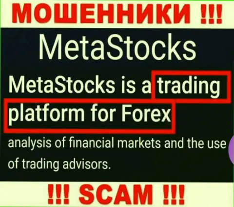 Деятельность интернет-мошенников Meta Stocks: Торговая платформа - капкан для доверчивых клиентов