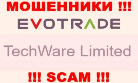 Юридическим лицом ЭвоТрейд Ком считается - TechWare Limited