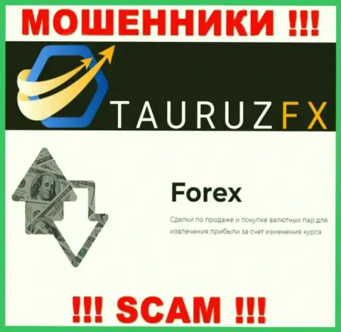 Форекс - это то, чем занимаются интернет мошенники Тауруз Инвестор Сервисес Лтд