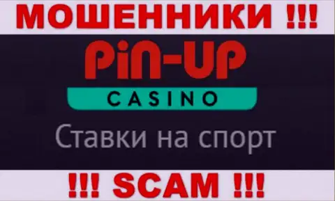 Основная работа PinUp Casino - это Казино, будьте очень осторожны, действуют противозаконно