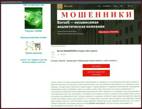 Обзор scam-проекта Borsell Ru - это РАЗВОДИЛЫ !!!