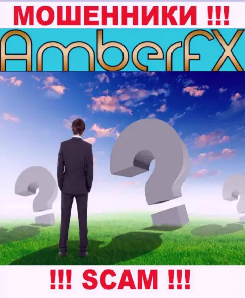 Желаете разузнать, кто же управляет организацией AmberFX ? Не выйдет, такой инфы нет