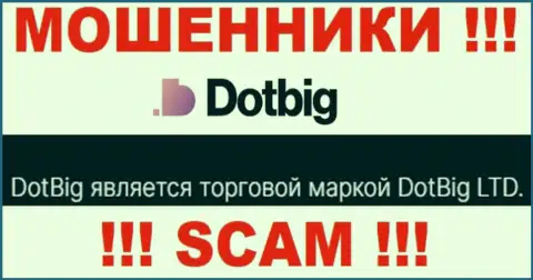 Dot Big - юридическое лицо мошенников организация ДотБиг ЛТД
