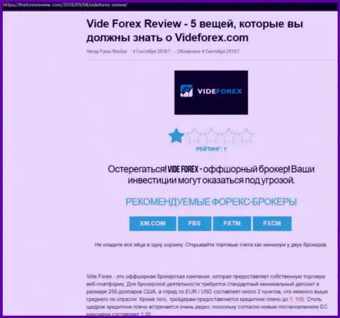 Автор обзора VideForex Com говорит, как ловко надувают лохов эти internet мошенники