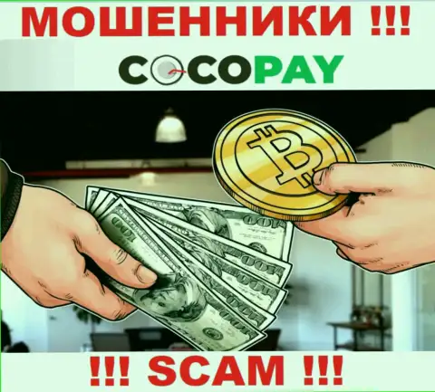 Не стоит доверять денежные вложения Coco-Pay Com, поскольку их направление деятельности, Обменка, обман