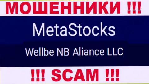 Юридическое лицо ворюг MetaStocks это Веллбе НБ Альянс ЛЛК