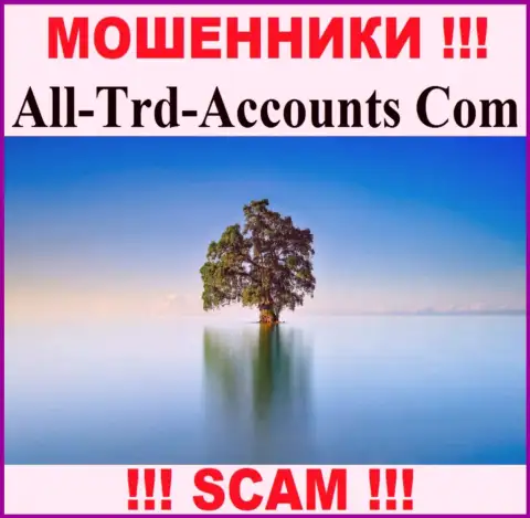 All-Trd-Accounts Com воруют финансовые активы и выходят сухими из воды - они прячут информацию о юрисдикции
