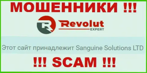 Информация о юридическом лице мошенников Sanguine Solutions LTD