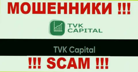 TVK Capital - это юридическое лицо лохотронщиков TVK Capital