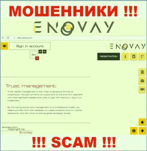 Вид официального информационного сервиса противозаконно действующей компании EnoVay