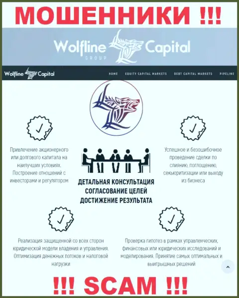 Не стоит верить, что область деятельности WolflineCapital Com - Финансовый консалтинг легальна - это кидалово