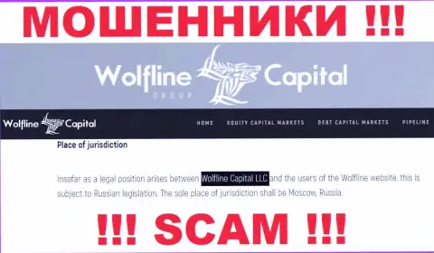 Юридическое лицо конторы Wolfline Capital - это ООО Волфлайн Капитал