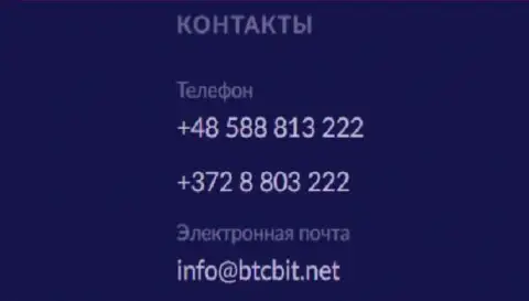Телефон и электронная почта организации BTCBit