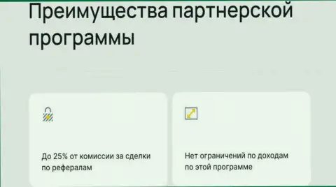 Приемлемые условия партнерки интернет компании БТЦБит