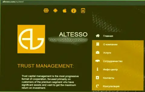 Официальный сайт организации АлТессо